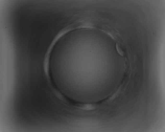 X0000101440056200807071411