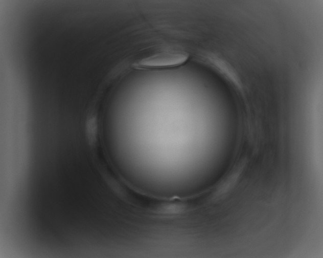 X0000101440057200807071411