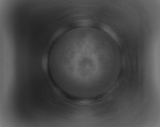 X0000101440058200807071411