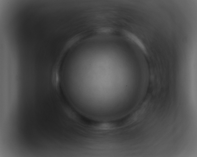 X0000101440059200807071411