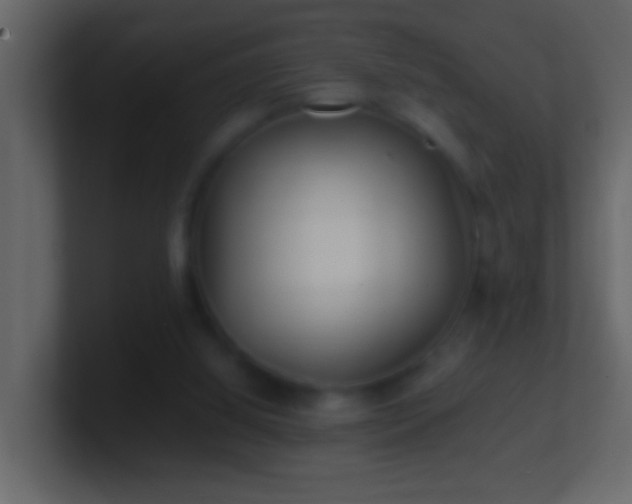 X0000101440060200807071411