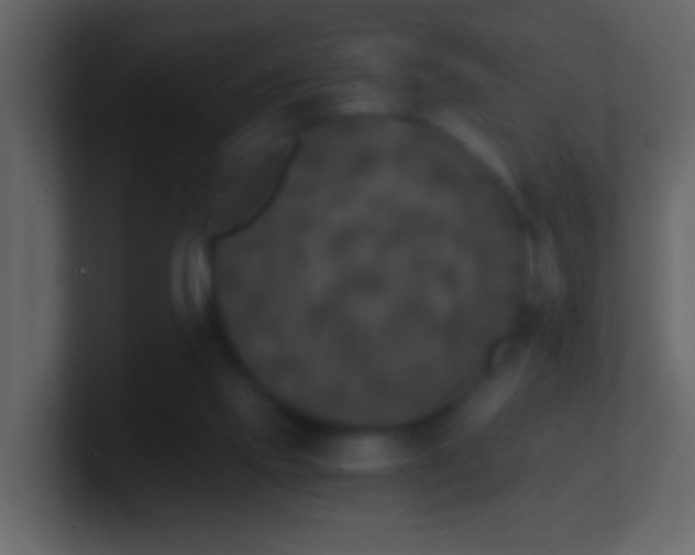 X0000101440061200807071411