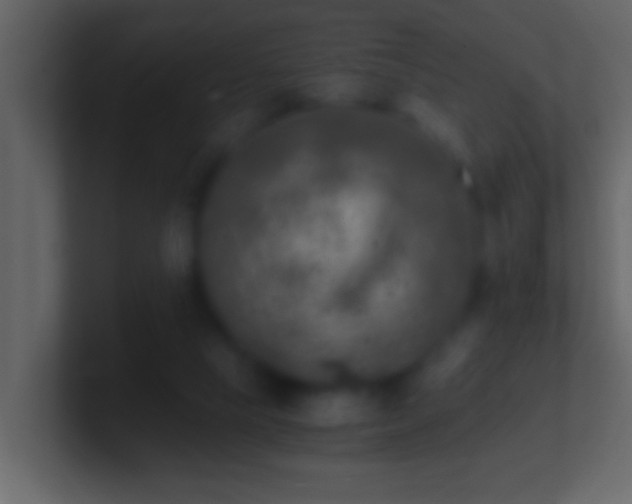 X0000101440065200807071411