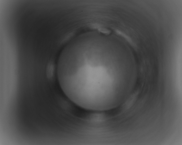 X0000101440066200807071411