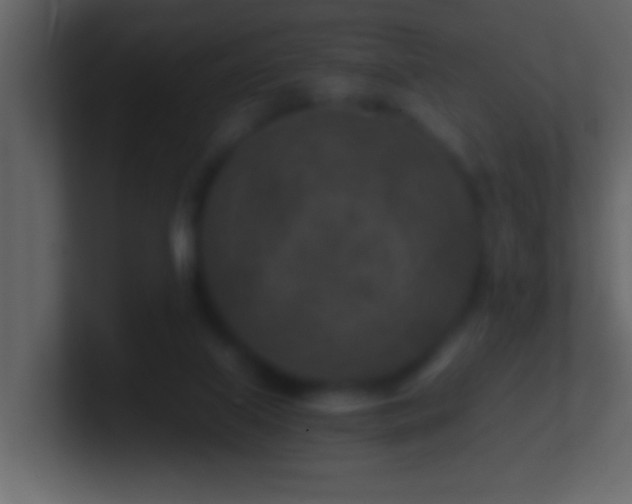 X0000101440067200807071411