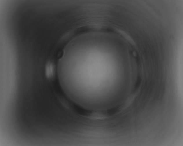 X0000101440070200807071411