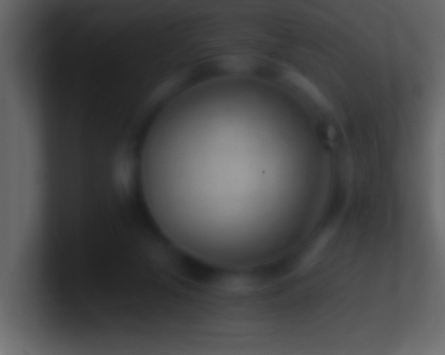 X0000101440071200807071411