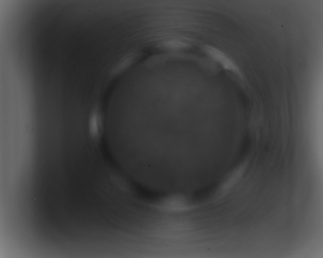 X0000101440076200807071411