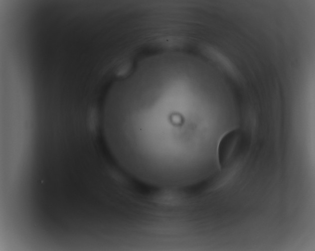 X0000101440077200807071411