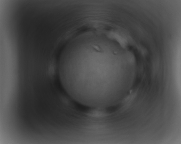 X0000101440078200807071411