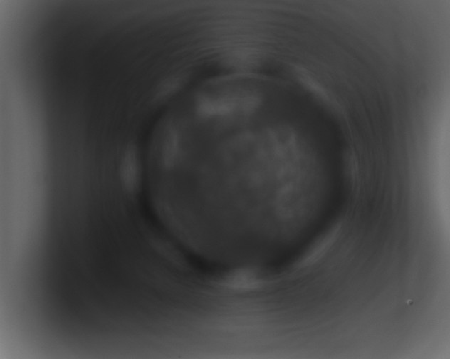 X0000101440080200807071411