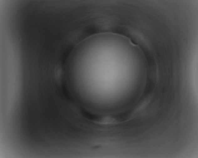 X0000101440087200807071411