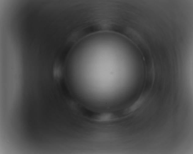 X0000101440090200807071411