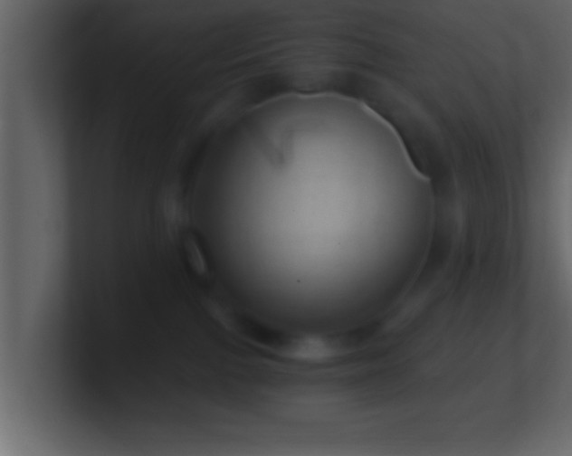 X0000101440091200807071411