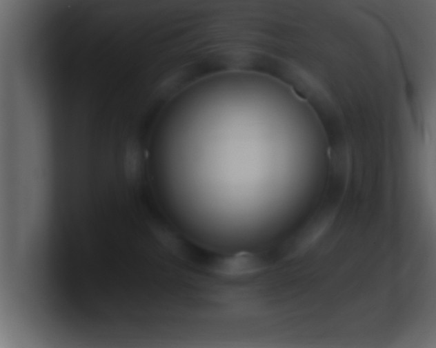 X0000101440092200807071411