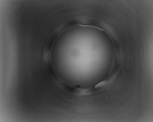 X0000101440093200807071412