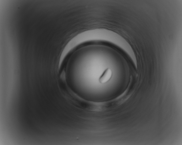 X0000101440096200807071412