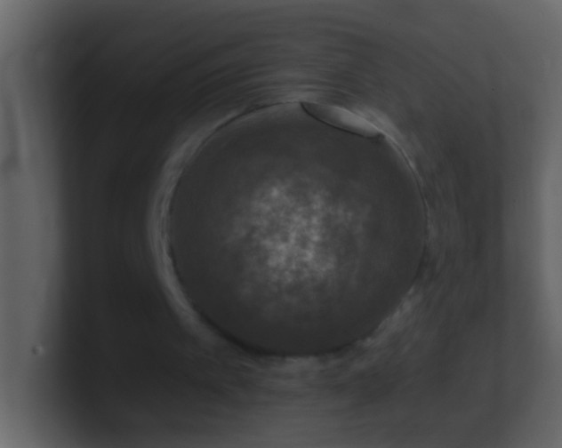 X0000101440097200807071411