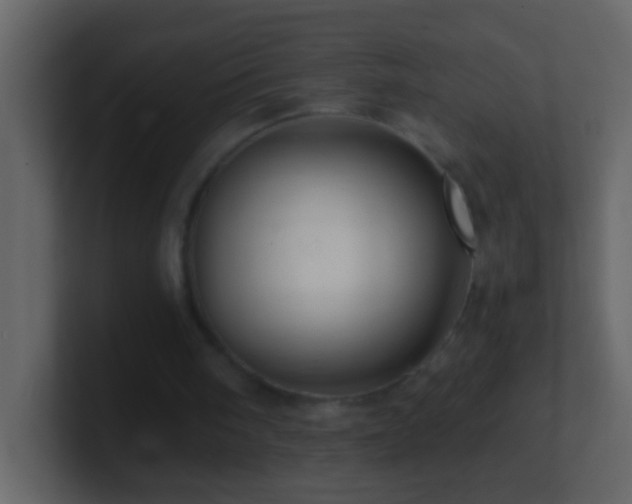 X0000101440098200807071411