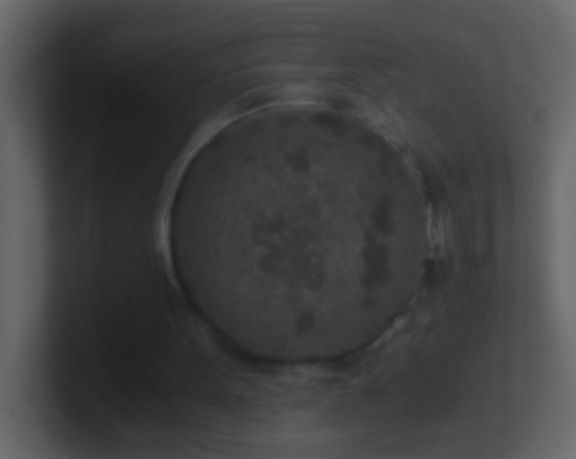 X0000101440099200807071411