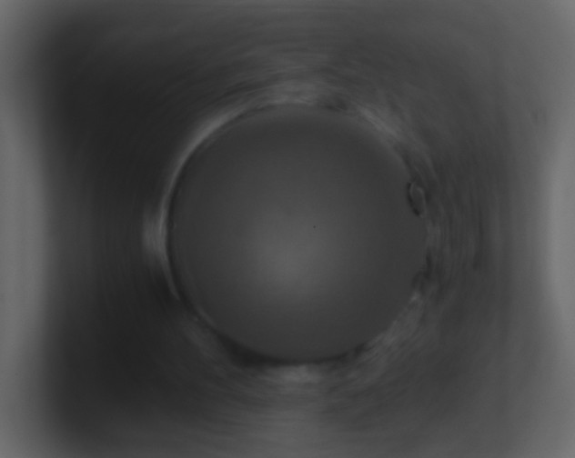 X0000101440100200807071411