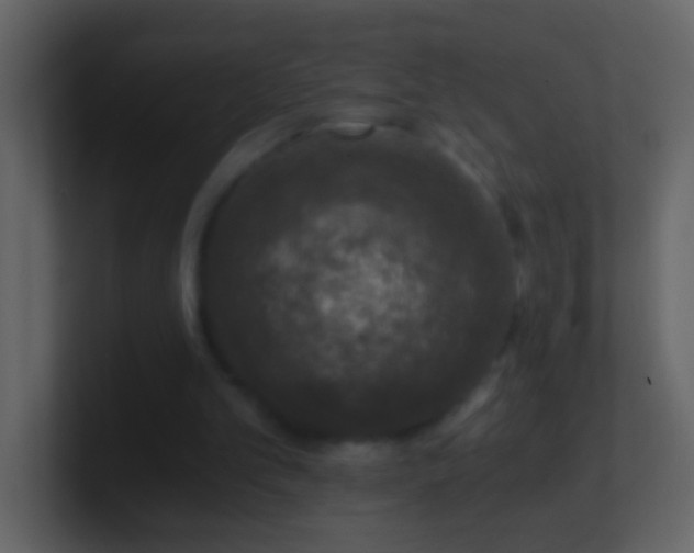 X0000101440101200807071411