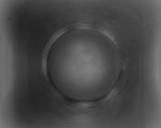 X0000101440103200807071411