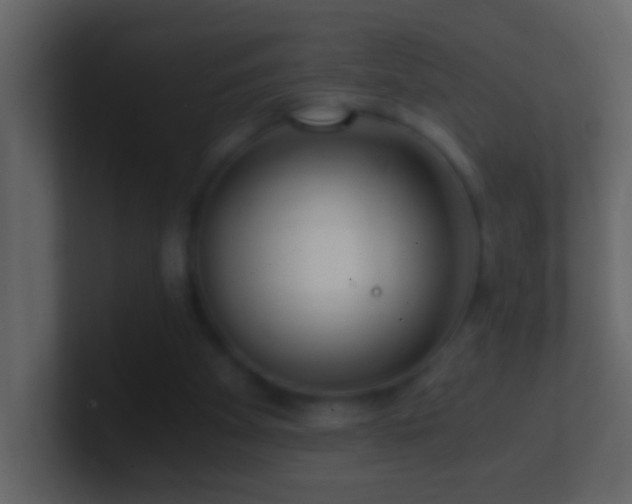 X0000101440105200807071411