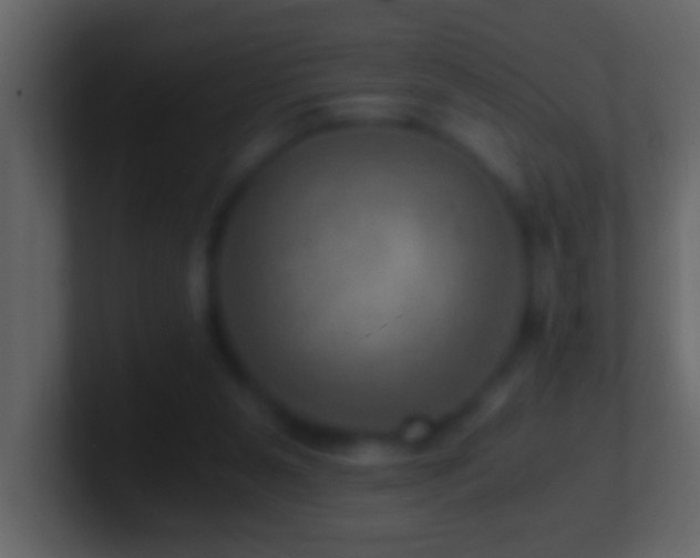 X0000101440111200807071411