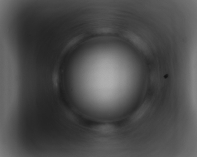 X0000101440112200807071411