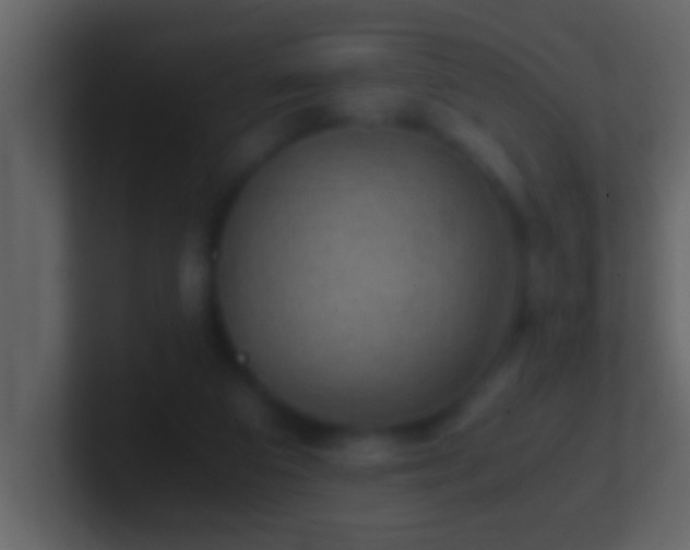 X0000101440113200807071411