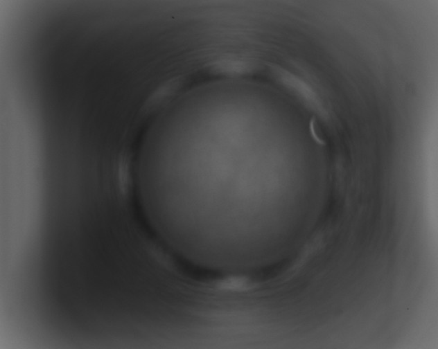 X0000101440114200807071411