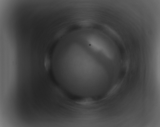 X0000101440124200807071410