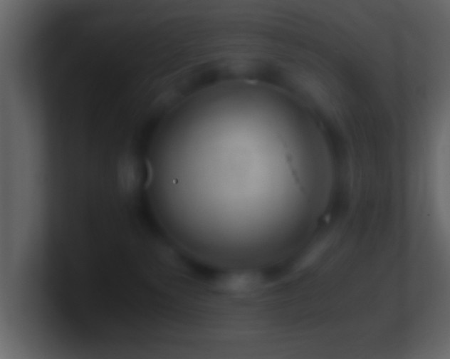 X0000101440135200807071410