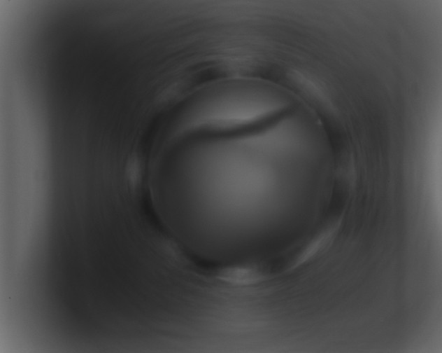 X0000101440139200807071410