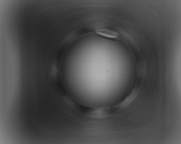 X0000101440140200807071410