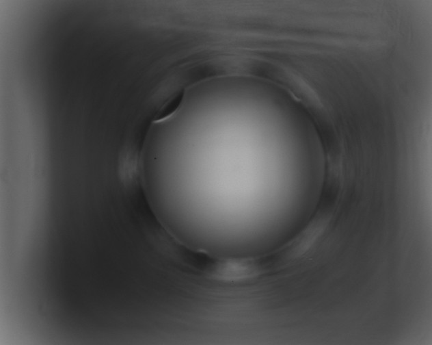 X0000101440141200807071410