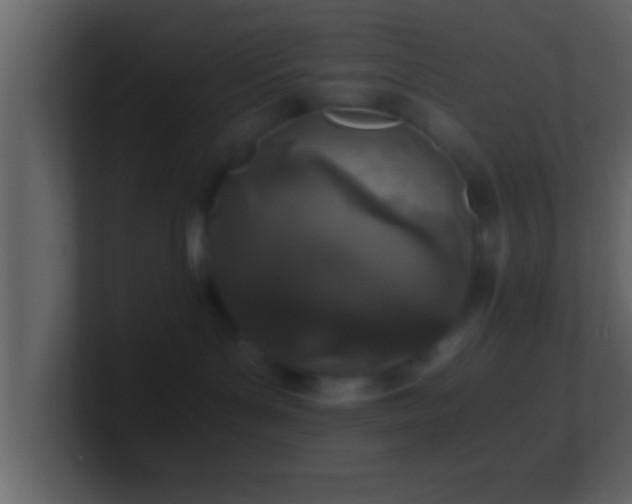 X0000101440143200807071410