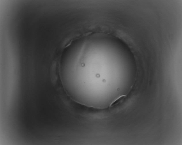 X0000101440144200807071410