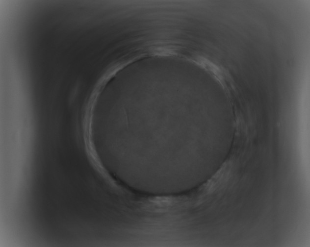 X0000101440145200807071409