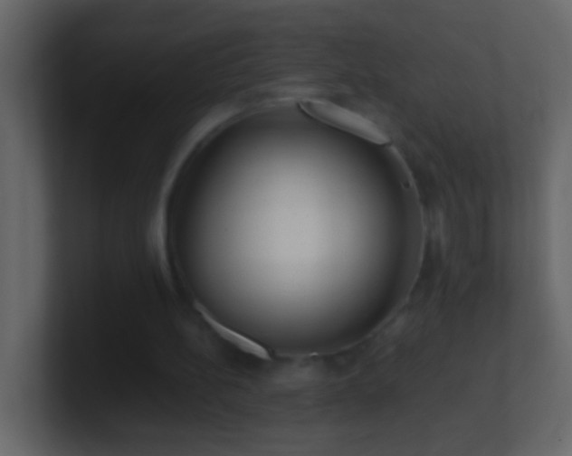 X0000101440148200807071409