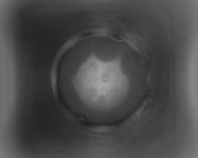 X0000101440149200807071409