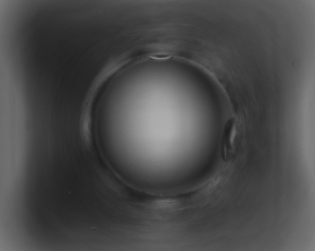 X0000101440150200807071409