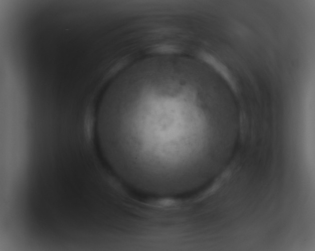 X0000101440153200807071409