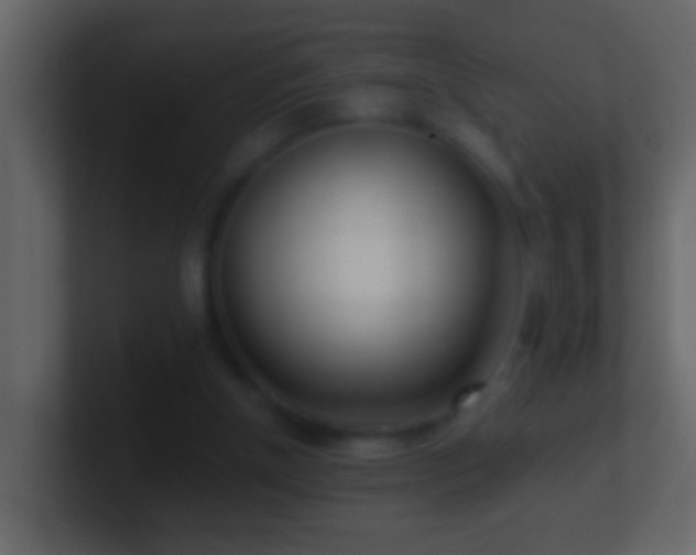 X0000101440154200807071409