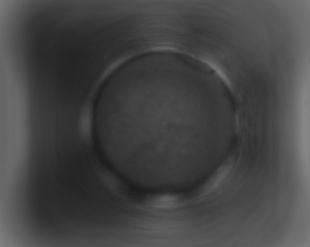 X0000101440156200807071409