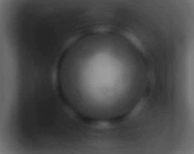 X0000101440159200807071409