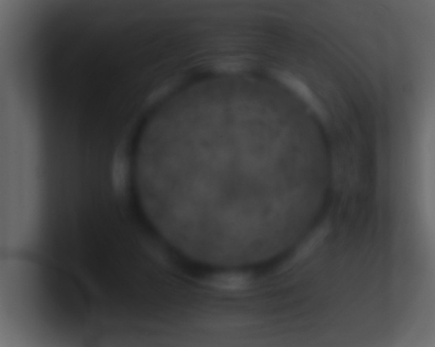 X0000101440161200807071410