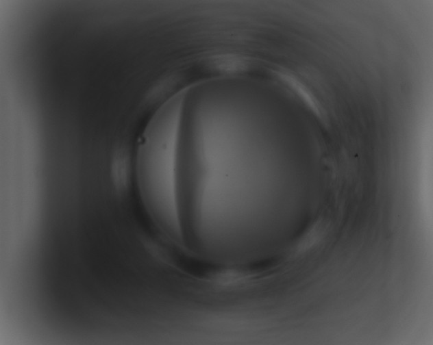 X0000101440163200807071410