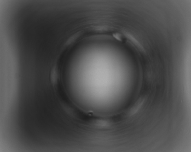 X0000101440164200807071410